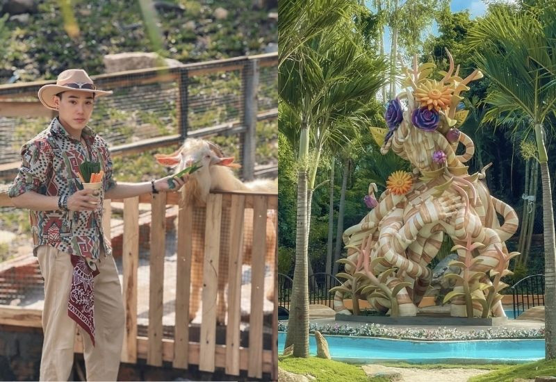 Check-in phong cách châu Âu tại Moana Farm Vũng Tàu Check-in phong cách châu Âu tại Moana Farm Vũng Tàu