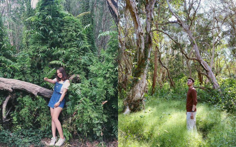 Nhiều góc check-in sống ảo tại vườn quốc gia Bình Châu Nhiều góc check-in sống ảo tại vườn quốc gia Bình Châu