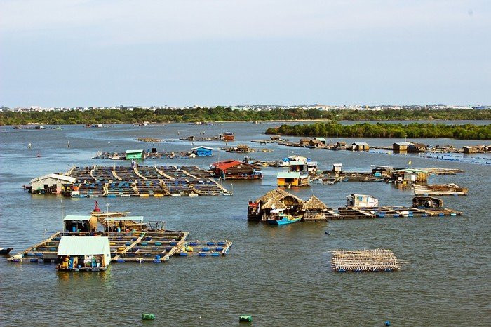 Đảo hàu Long Sơn