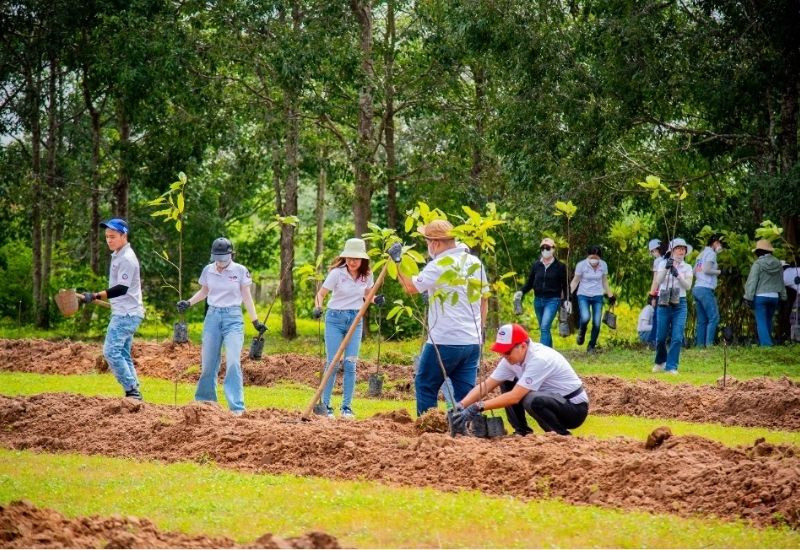 Hoạt động trồng cây du lịch xanh tại Bình Châu Phước Bửu Hồ Tràm Hoạt động trồng cây du lịch xanh tại Bình Châu Phước Bửu Hồ Tràm