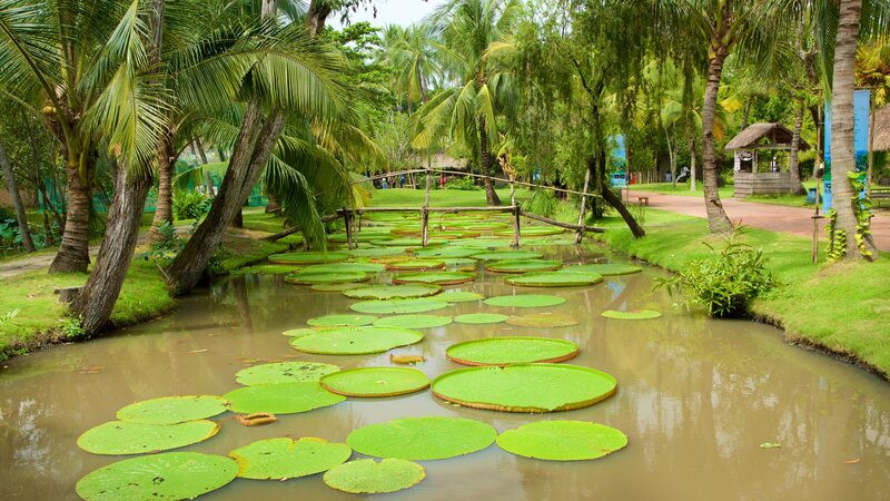 Thiên nhiên bình dị tại Bình Quới