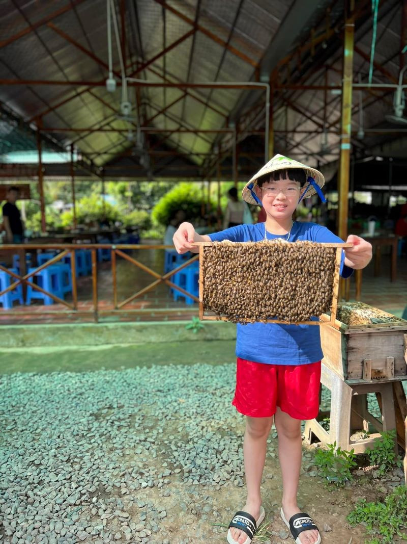 Tham quan và tìm hiểu về cách nuôi ong tại Cồn Thới Sơn - Tiền Giang 