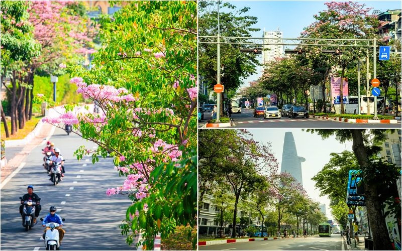 Các tuyến đường mùa hoa rộ nhất Các tuyến đường mùa hoa rộ nhất