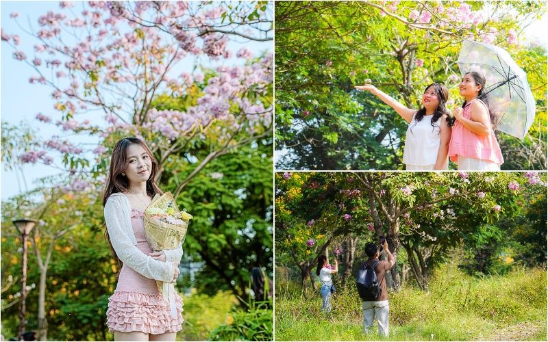 Nên chụp vào lúc ánh nắng dịu nhẹ Nên chụp vào lúc ánh nắng dịu nhẹ