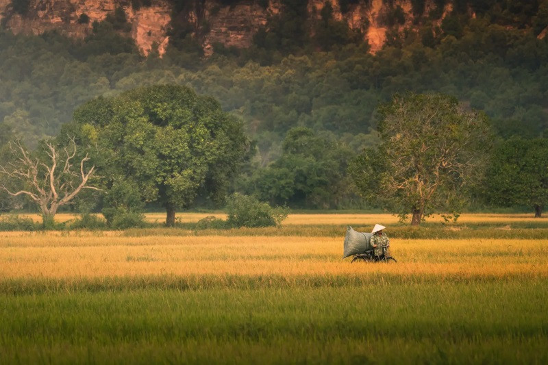 Bức tranh quê thêm đẹp và sinh động với hình ảnh người nông dân