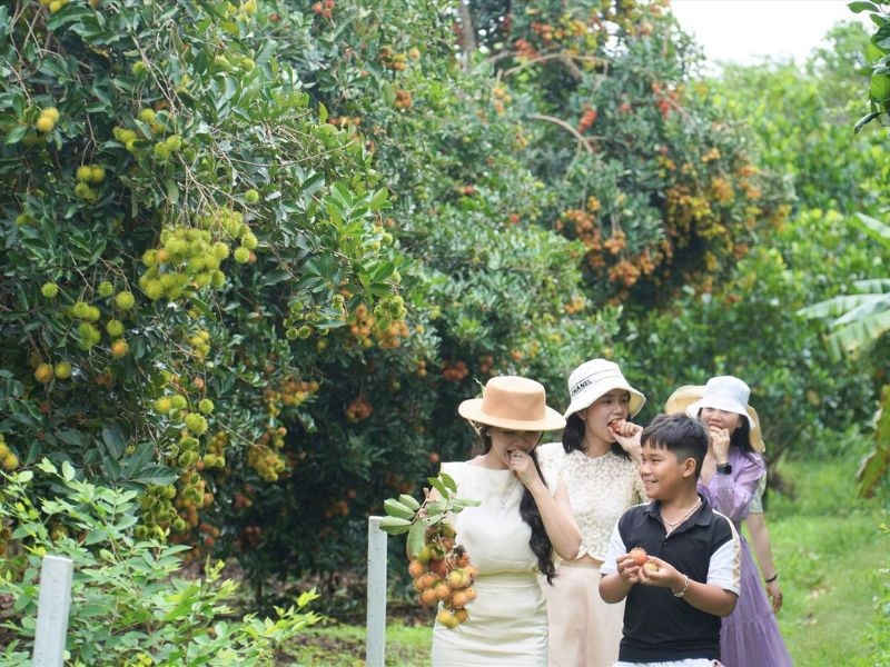 Thưởng thức trái cây miệt vườn