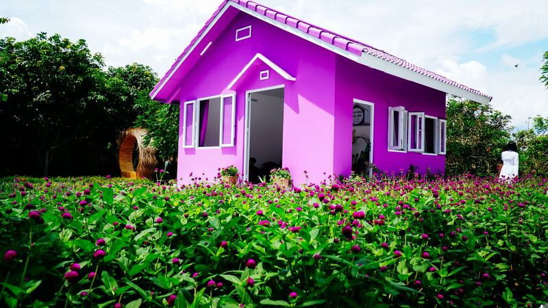 Căn nhà màu tím