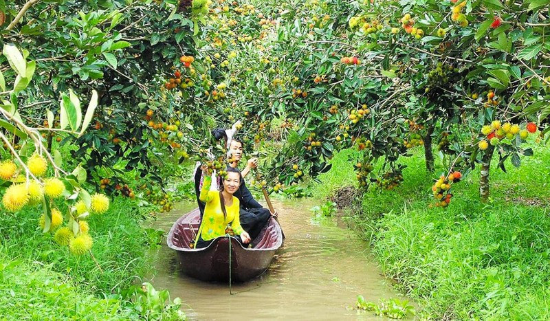 Cồn Sơn