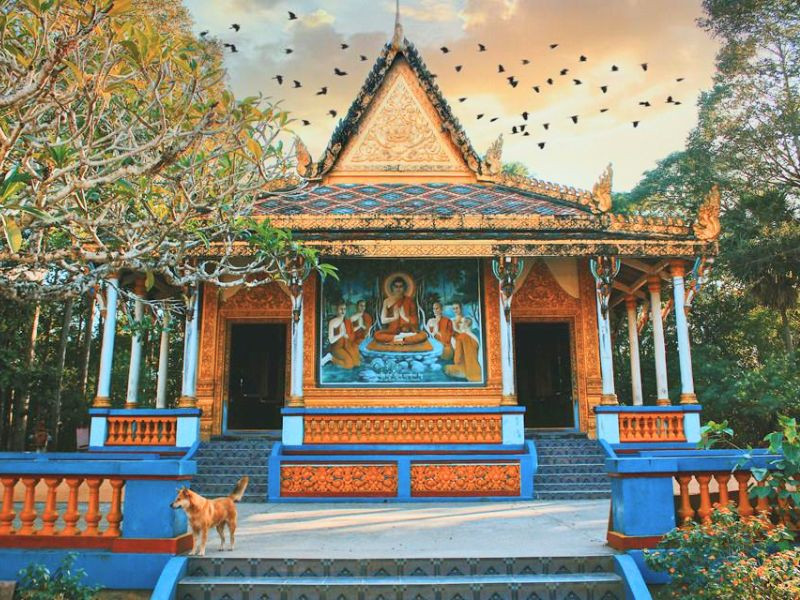 Tham quan chùa Dơi nổi tiếng Tham quan chùa Dơi nổi tiếng