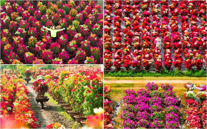 Giới thiệu địa điểm du lịch miền Tây đẹp mê mẫn