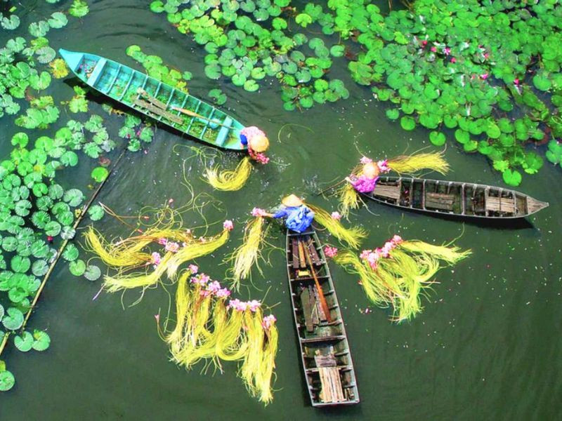 Không gian xanh mát miền Tây