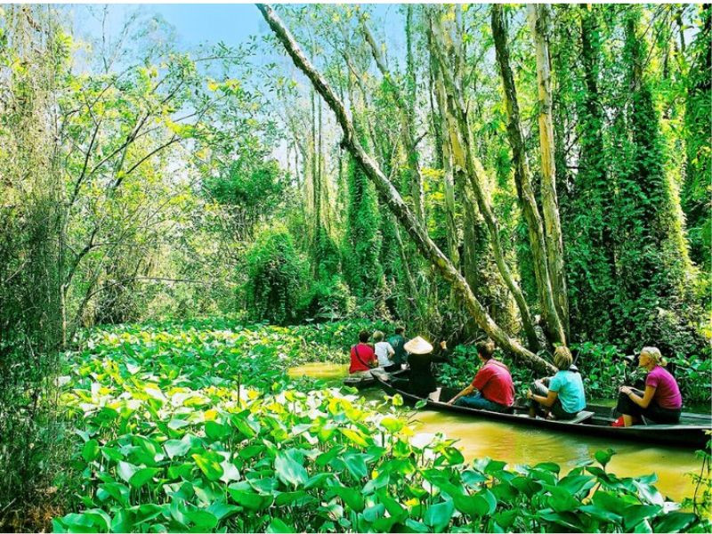 Không thể bỏ qua Khu di tích Xẻo Quít - Đồng Tháp Không thể bỏ qua Khu di tích Xẻo Quít - Đồng Tháp