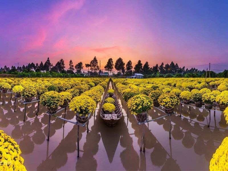 Làng hoa Sa Đéc tại Đồng Tháp
