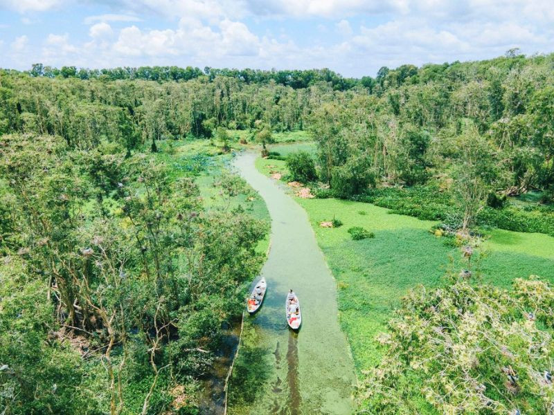 Rừng tràm Trà Sư - bức tranh thiên nhiên tuyệt đẹp Rừng tràm Trà Sư - bức tranh thiên nhiên tuyệt đẹp