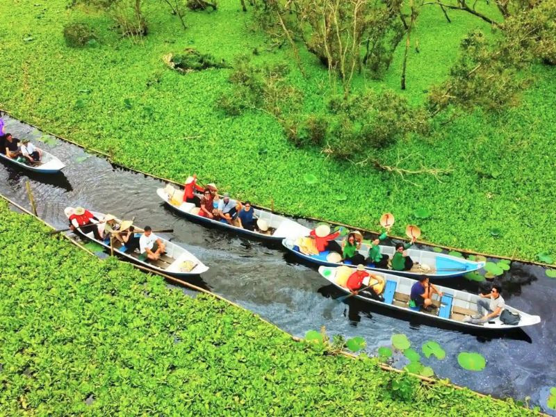 Ghé lại rừng tràm Trà Sư để chèo xuồng Ghé lại rừng tràm Trà Sư để chèo xuồng