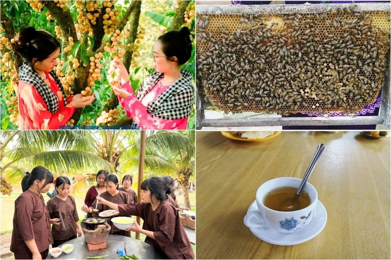 Tour ghép Mỹ Tho - Bến Tre dành cho khách lẻ từ TP.HCM Tour ghép Mỹ Tho - Bến Tre dành cho khách lẻ từ TP.HCM