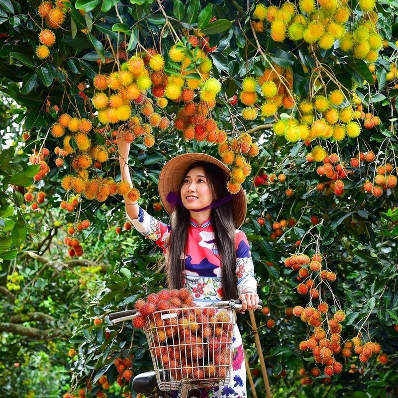 Vườn trái cây Cù lao Thái Sơn