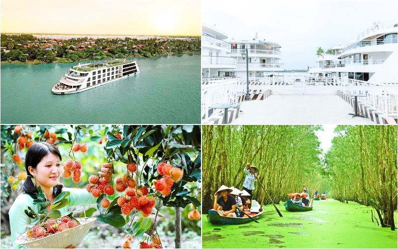 Các điểm đến trong tour Tết 2026 này