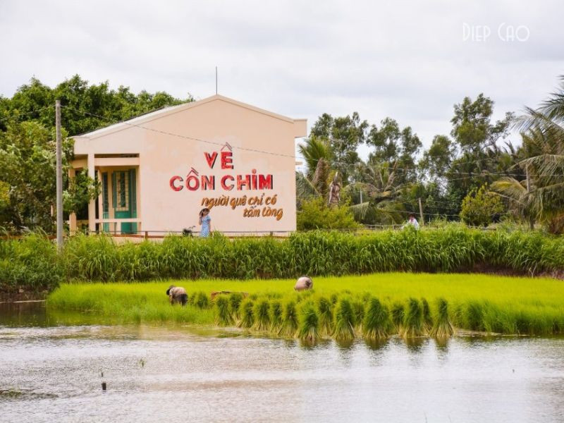 Khám phá Cồn Chim - trải nghiệm du lịch cộng đồng