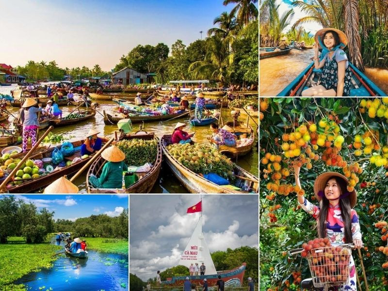 Về miền Tây - Thong dong giữa miền sông nước