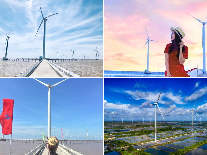 Cánh đồng quạt gió Bạc Liêu Cánh đồng quạt gió Bạc Liêu