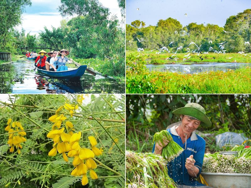 Miền Tây vào mùa nước nổi tháng 11