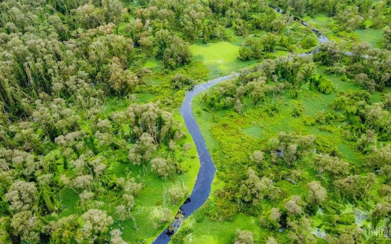 Tour miền Tây tháng 12 - Ghé rừng tràm Trà Sư 