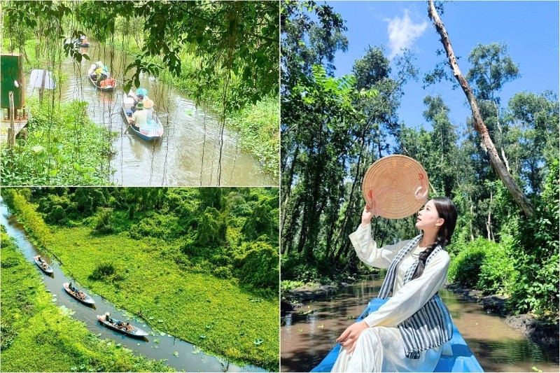 Rừng tràm Trà Sư lý tưởng cho chuyến du lịch sinh thái