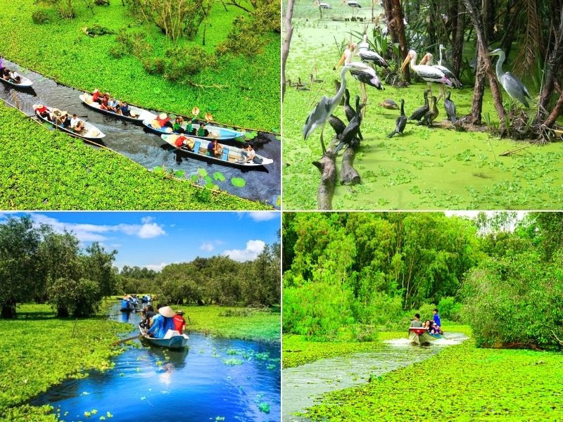 Rừng tràm Trà Sư mùa nước nổi