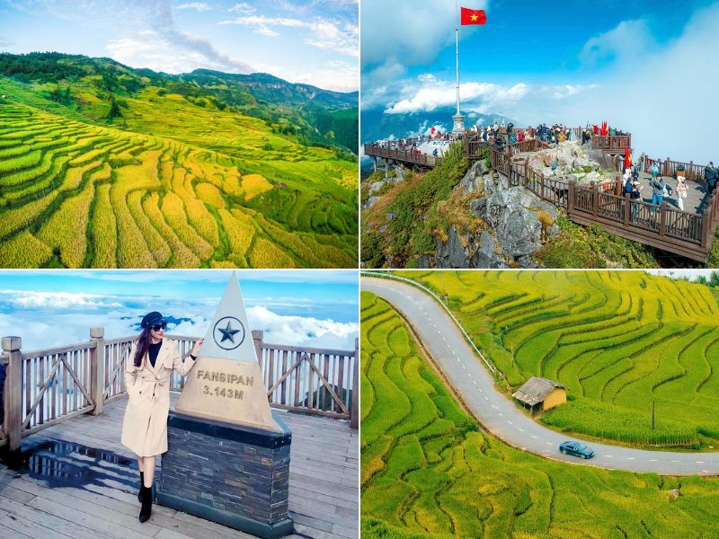 Săn mây và ngắm mùa lúa chín vàng tại Sapa