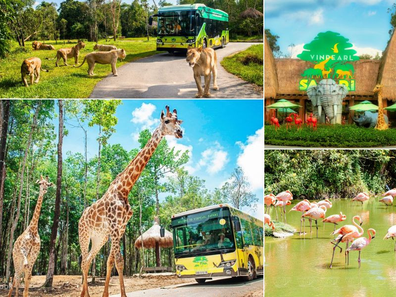 Khám phá thiên nhiên tại Vinpearl Safari Phú Quốc (Ảnh: Sưu tầm)