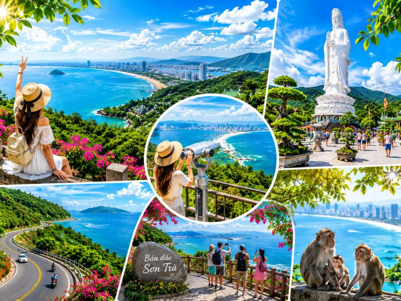 Ngắm nhìn toàn cảnh thành phố Đà Nẵng tại bán đảo Sơn Trà 
