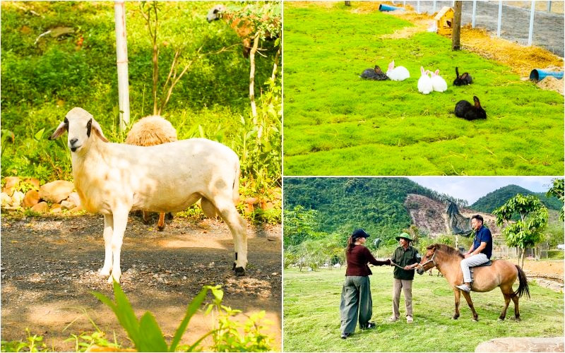 Trải nghiệm thú vị khi du lịch Đà Nẵng Trải nghiệm thú vị khi du lịch Đà Nẵng