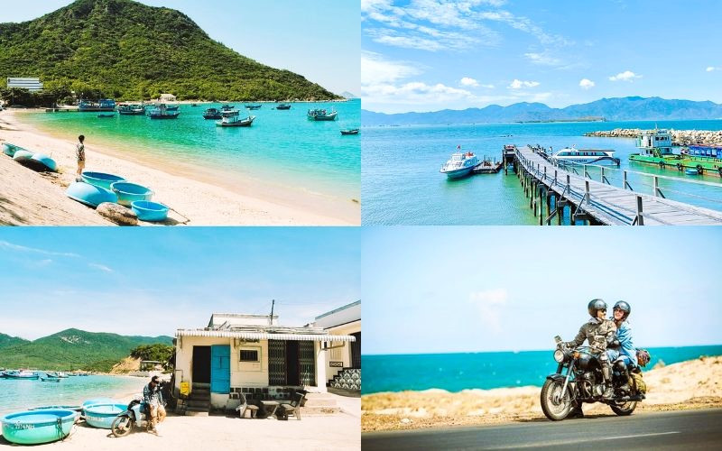 Các lựa chọn di chuyển đa dạng