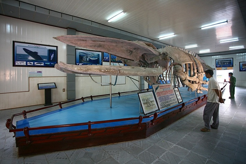 Bảo tàng Hải Dương Học Nha Trang.