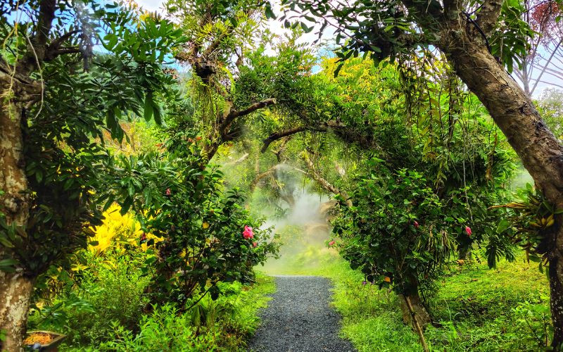 Tour Nha Trang - Check in với tiểu cảnh có 1 0 2 tại The Fairy Forest 