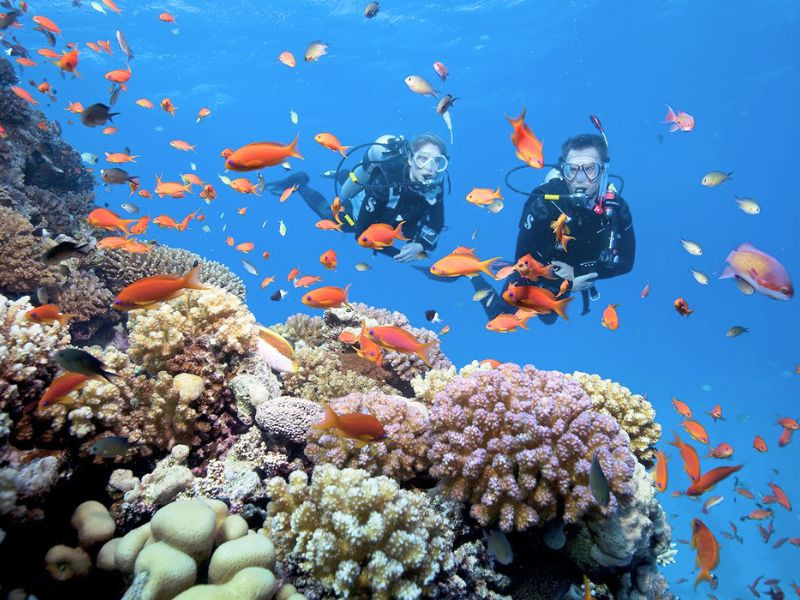 Lặn biển tại Nha Trang Lặn biển tại Nha Trang