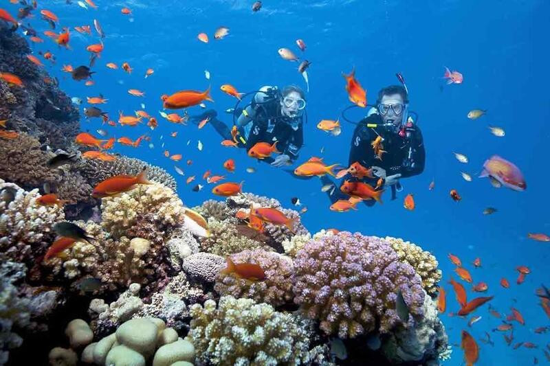 Lặn ngắm san hô là một trải nghiệm thú vị du khách không thể bỏ lỡ