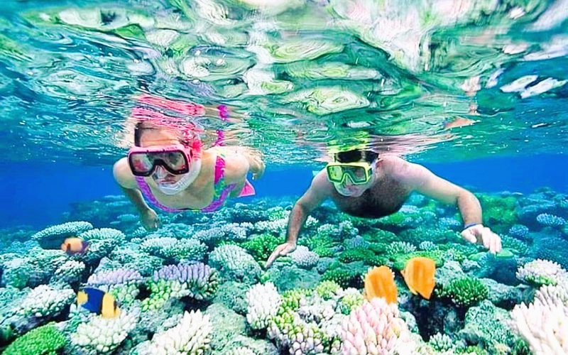 Ngắm các dãy san hô nhiều màu sắc