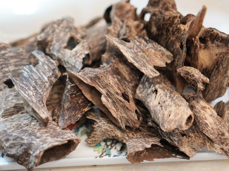 Trầm mắt kiến