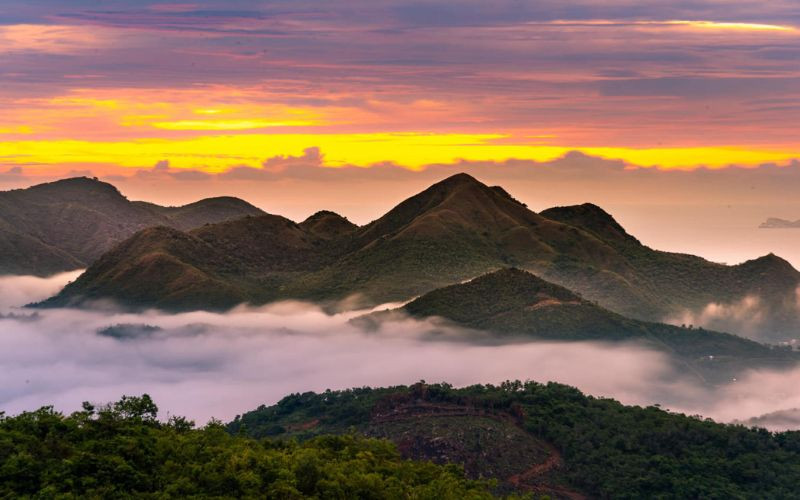 Chùa Suối Ngổ 