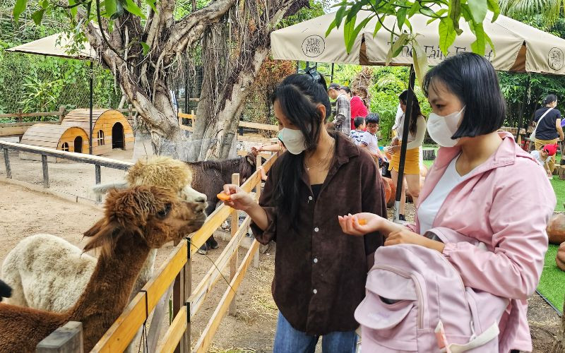 Tham quan vườn thú cưng tại The Fairy Forest Nha Trang 