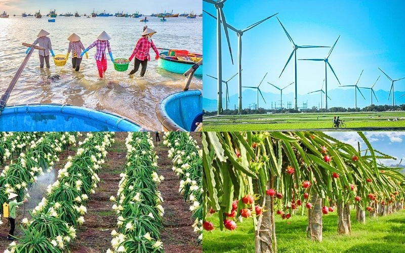 Bức tranh khung cảnh Phan Thiết