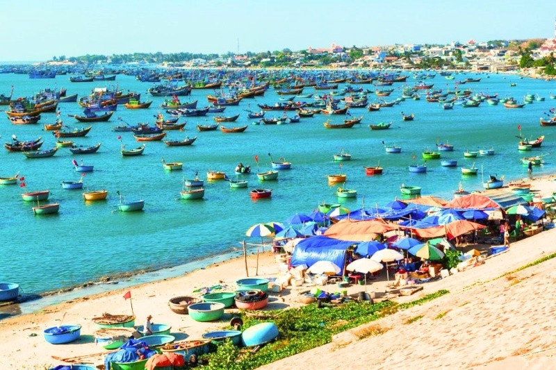 Góc nhìn chân thực về nhịp sống và nghề biển