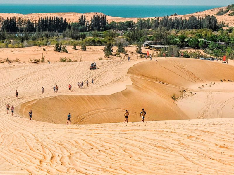 Khám phá Đồi Cát Bay Khám phá Đồi Cát Bay