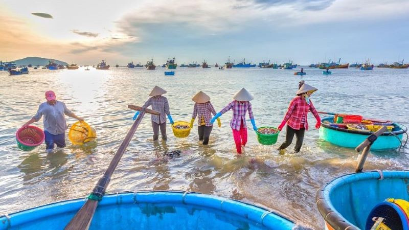 Thưởng thức vẻ đẹpbình yên của làng chài Mũi Né Bình Thuận - ảnh 4