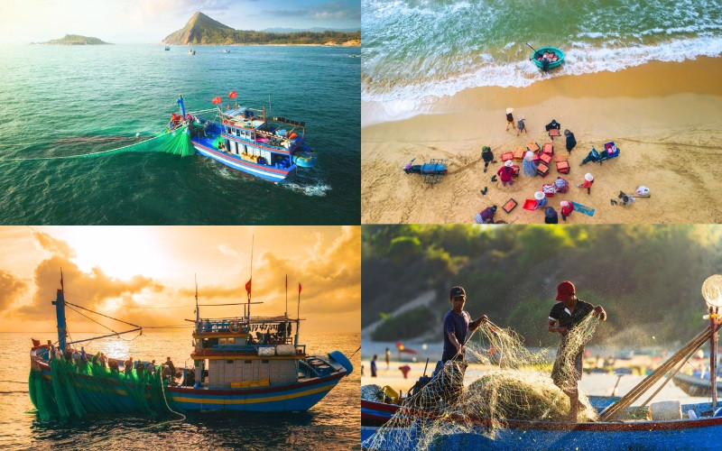 Trải nghiệm đời sống ngư dân và chợ cá ven biển