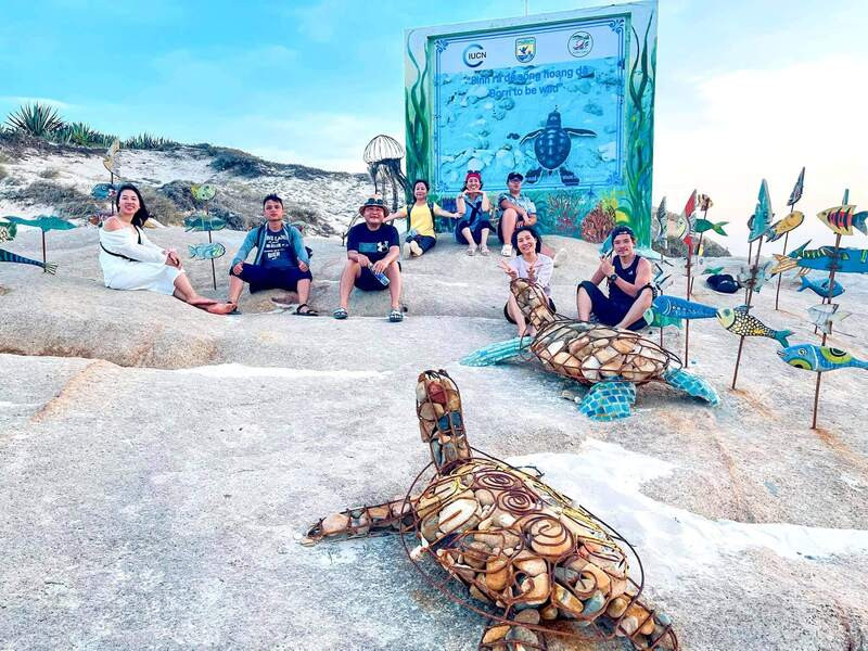 Tham gia hoạt động bảo vệ rùa biển