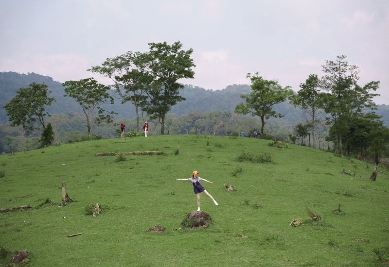 Đồi Bò Măng Đen săn ảnh đồng cỏ và ngắm hoàng hôn giữa cao nguyên