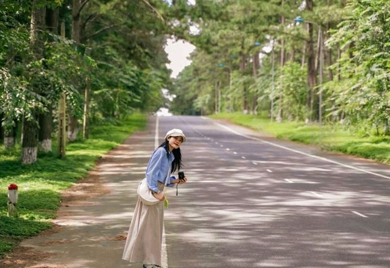 Đường thông Măng Đen - địa điểm chụp ảnh đẹp giữa rừng thông xanh mát